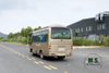 6m Single-axle Village Bus_Dongfeng 19-seater Medium-sized Bus_Export 115hp Countryside Bus