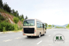 Dongfeng 19-seater Medium-sized Bus_115hp Export Country Bus_6m Single-axle Bus for Villagers