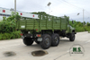 EQ2082E6D 6WD Truck_Dongfeng 140 Pointed Single Row Off-road Truck_6×6 Dongfeng Customized Truck Export Special Vehicle