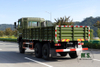 Green 6*6 Truck Dongfeng Flat Head Off Road Cargo Vehicle AWD Export Special Vehicle