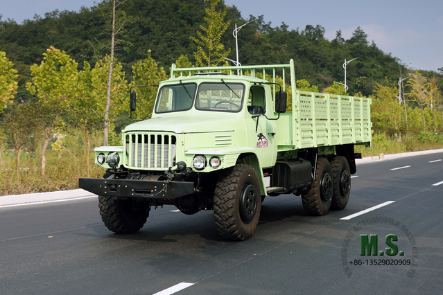 Mint Green 190hp Dongfeng Six Wheel Drive Off Road Truck EQ2100 Single Row Pointed Head AWD Transportation Vehicle Export Special Purpose Vehicle