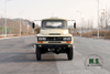 Dongfeng 4WD Off-road Truck Chassis_Four wheel Drive Export Special Purpose Truck Chassis_4*4 Dongfeng Truck Chassis Modification Manufacturer