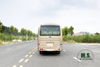 6m Single-axle Village Bus_Dongfeng 19-seater Medium-sized Bus_Export 115hp Countryside Bus