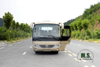 Dongfeng 19-seater Medium-sized Bus_115hp Export Country Bus_6m Single-axle Bus for Villagers