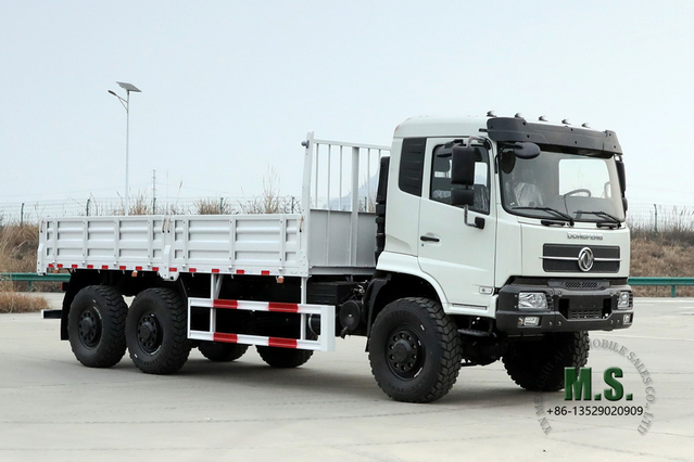 Dongfeng 6*6 Off Road Truck 260Horsepower Forest Off-Road Cargo Vehicle Export Special Truck