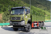 Green 6*6 Truck Dongfeng Flat Head Off Road Cargo Vehicle AWD Export Special Vehicle