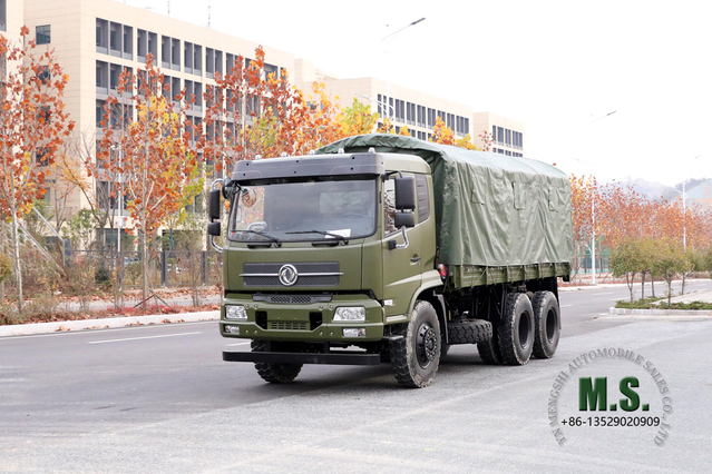 6x4 Dongfeng Off-road Truck_210 hp Flathead Row Half Cab Transport Truck With Tarpaulin Pole_Dongfeng Export Special Purpose Vehicle