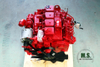 Light Truck Engine Cummins 140hp Engine for sale Export Special Engine