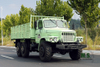 Mint Green Dongfeng Six Drive Off Road Truck EQ2100 Single Row Pointed Head AWD Vehicle Export Special Vehicle