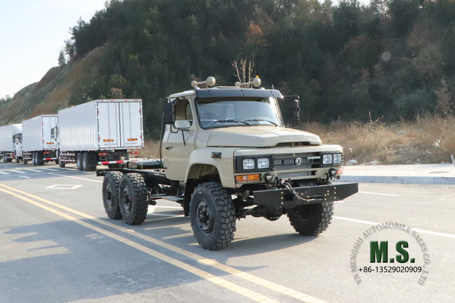 Dongfeng Off-road Truck_EQ2082 All-drive Off-road Truck_Cargo Truck for sale