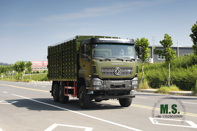 Dongfeng Six Wheel Drive Off-road Truck_6*6 15T High Container Heavy Duty Truck_340 hp 6WD Special Logistics Truck for Export