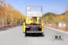 Dongfeng 4*2 Light Truck Tip Off-road Lift Truck_Small Lift trimming Sanitation Truck_Export Special Micro Vehicle