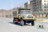 4*4 170hp Dongfeng Off-road Dump Truck_ Camel Gray Four-wheel Drive Mining Trucks Export Special Dump Truck Modification Manufacturer