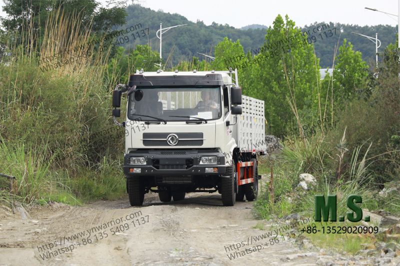 Dongfeng regular cargo truck real shot