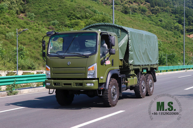 Dongfeng EQ2102 Flathead Army Green with Tarpaulin_Dongfeng 6*6 Off-road Transport Truck Export