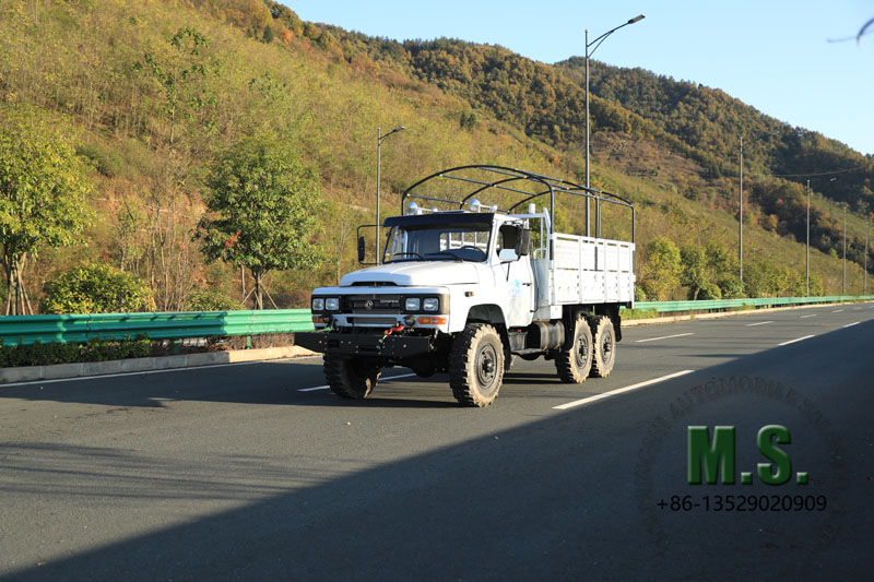 Vehicle And Chassis Gallery 4: 6x6 Off-road Cargo Truck, Also Troops Carrier!