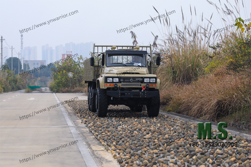China made Dongfeng cargo truck