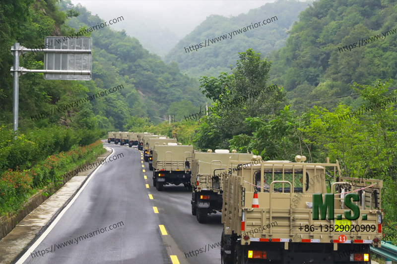 Dongfeng truck fleet back perspective