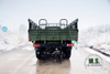 Dongfeng EQ2100 Six Drive Off-road Special Vehicle for sale-All-drive cargo truck-China High Qualitity Truck