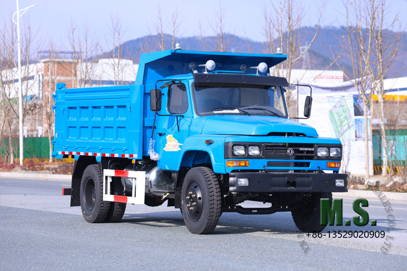 Dongfeng 4x2 dump truck real-life footage