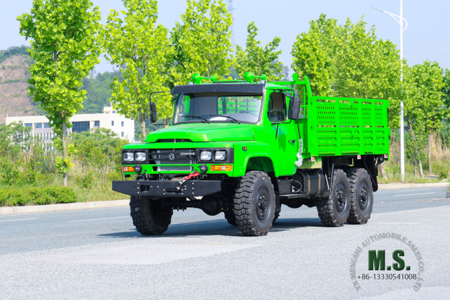 6X6 Dongfeng Green EQ2082 Single Cab 6WD Off-road Truck