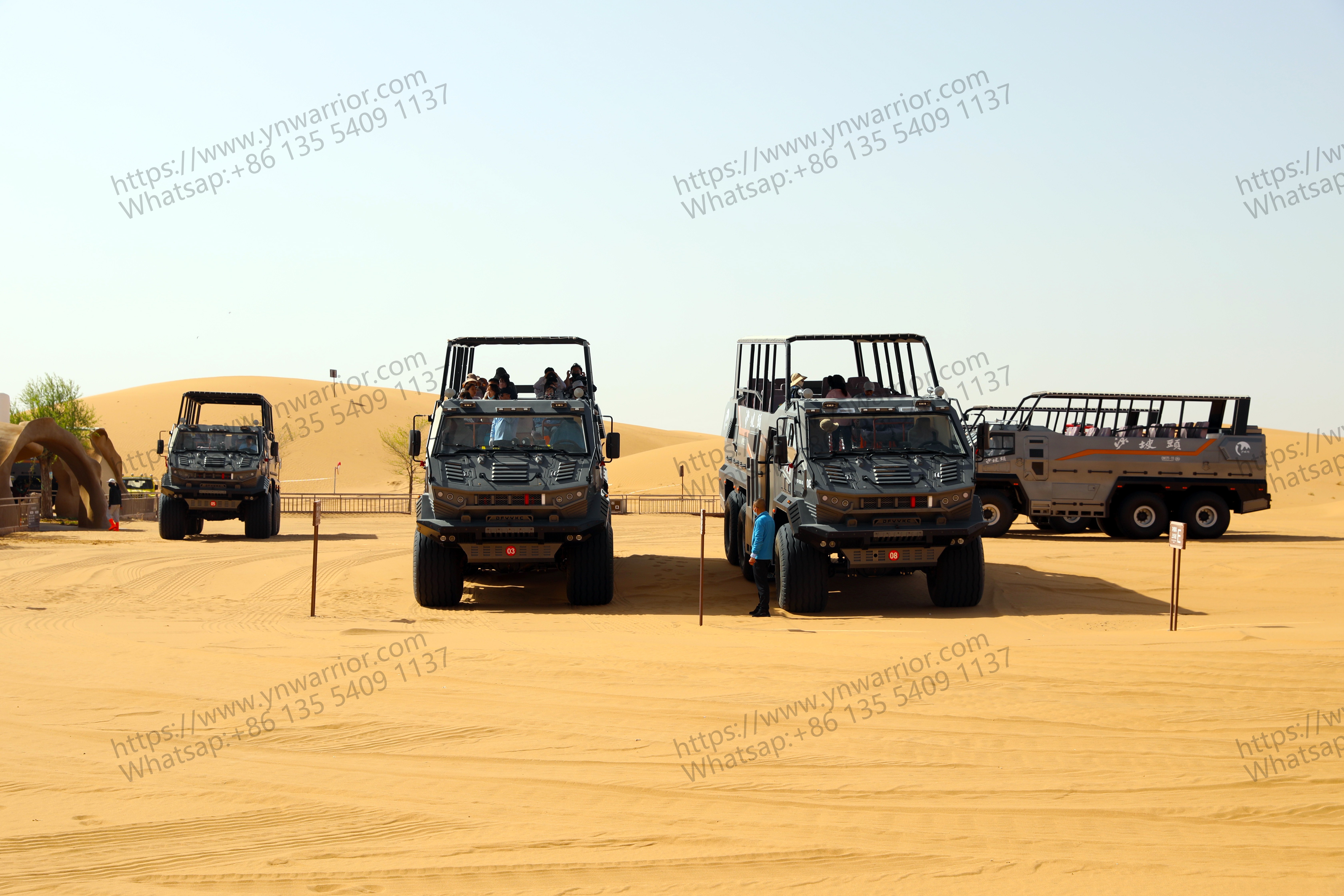 desert cruiser bus fleet on desert