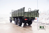 Dongfeng EQ2100 Six Drive Off-road Special Vehicle for sale-All-drive cargo truck-China High Qualitity Truck