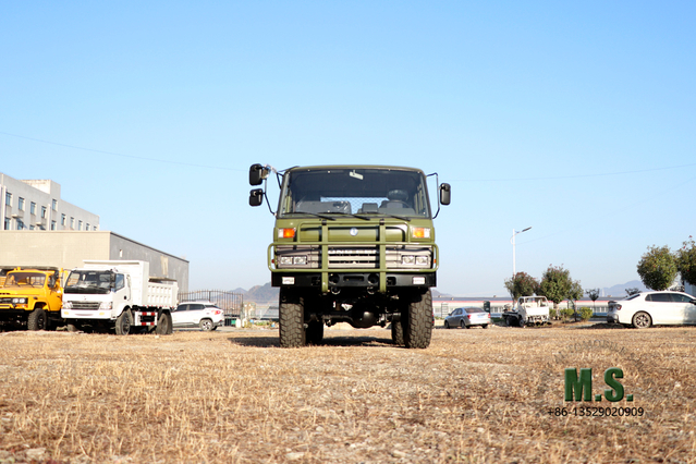 Dongfeng EQ2102 Six-drive Off-road Truck_Six Drive Cargo Truck_Customized Truck for sale