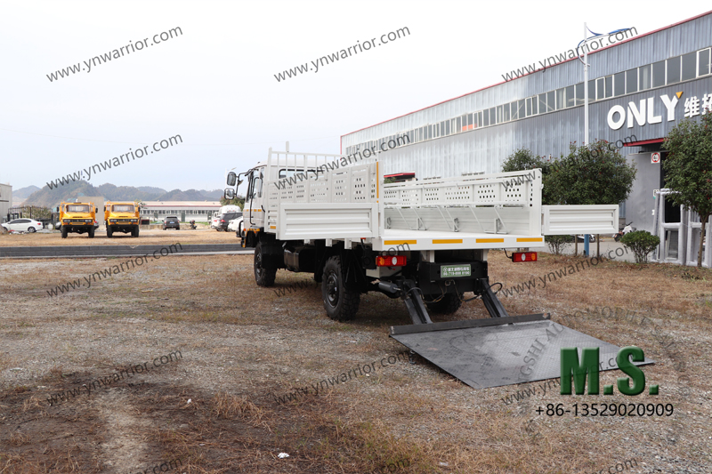 regular Dongfeng cargo truck with Hydraulic Lift Gate