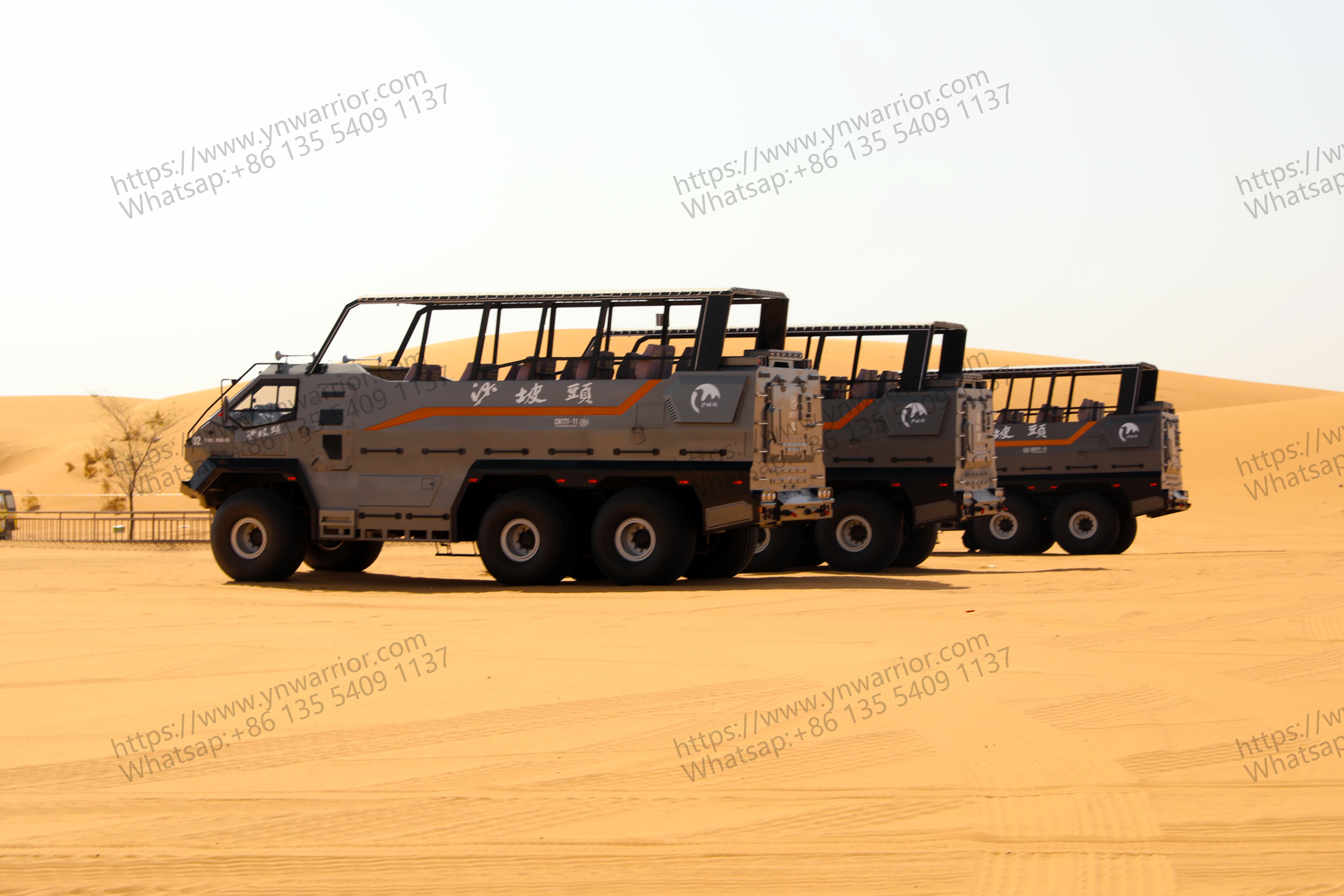 massive desert cruiser bus fleet