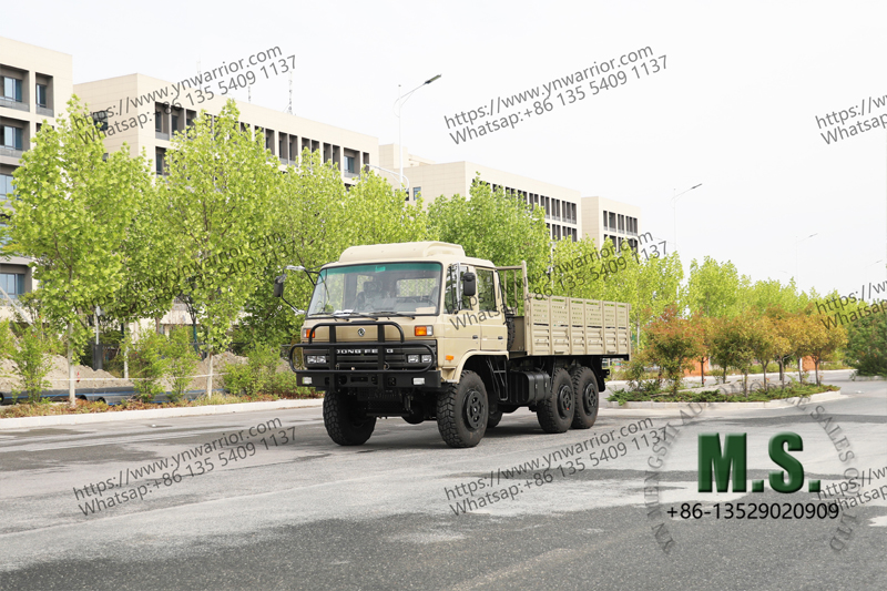 6x6 troops carrier truck, long shoot angles, military model