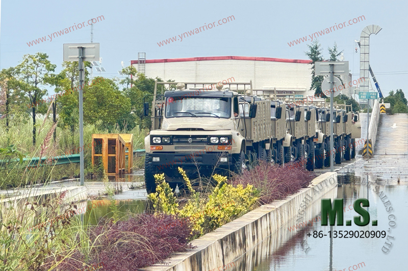 Dongfeng 4x4 truck rear double tyre_fleet
