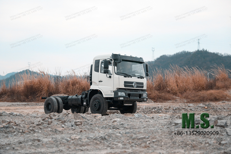 Dongfeng 4x2 dump truck chassis in wild