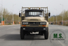 190-horsepower 15-ton Gross Weight Dongfeng 4x2 Cargo Truck_Cummins Engine, 4700mm Cargo Trunk, Seats on Cargo Box, Troops Carrier, Former Military Model_ Manufacturer Direct