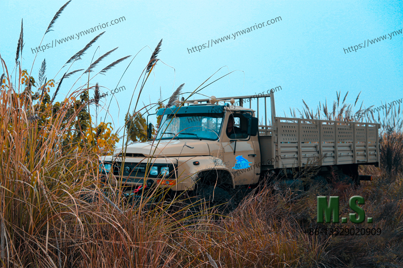 part time 6WD truck in wild