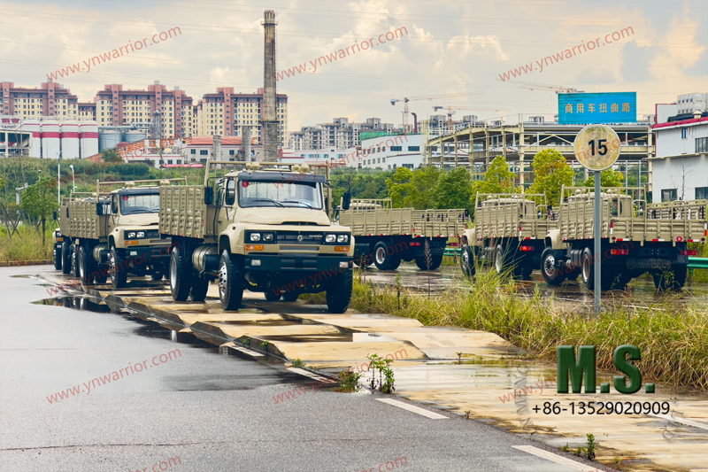 Dongfeng 4x4 truck rear double tyre_unflat road test