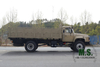 190-horsepower 15-ton Gross Weight Dongfeng 4x2 Cargo Truck_Cummins Engine, 4700mm Cargo Trunk, Seats on Cargo Box, Troops Carrier, Former Military Model_ Manufacturer Direct