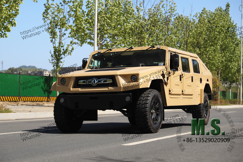 Mengshi fastback version