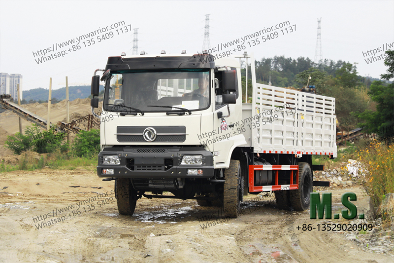 Dongfeng cargo truck manufacturer direct so got various photos