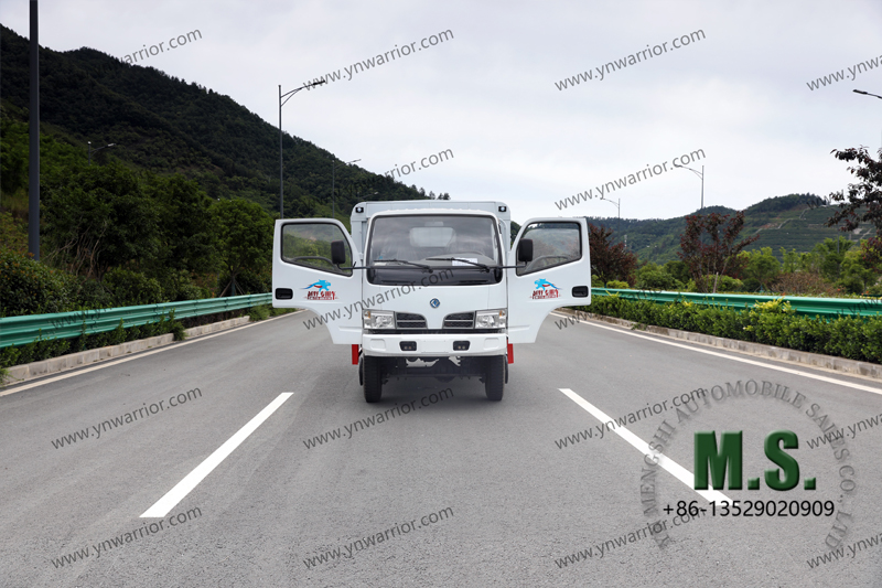 Chinese small truck cabin