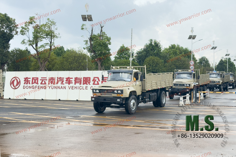 Dongfeng 4x4 truck rear double tyre_Dongfeng Yunnan