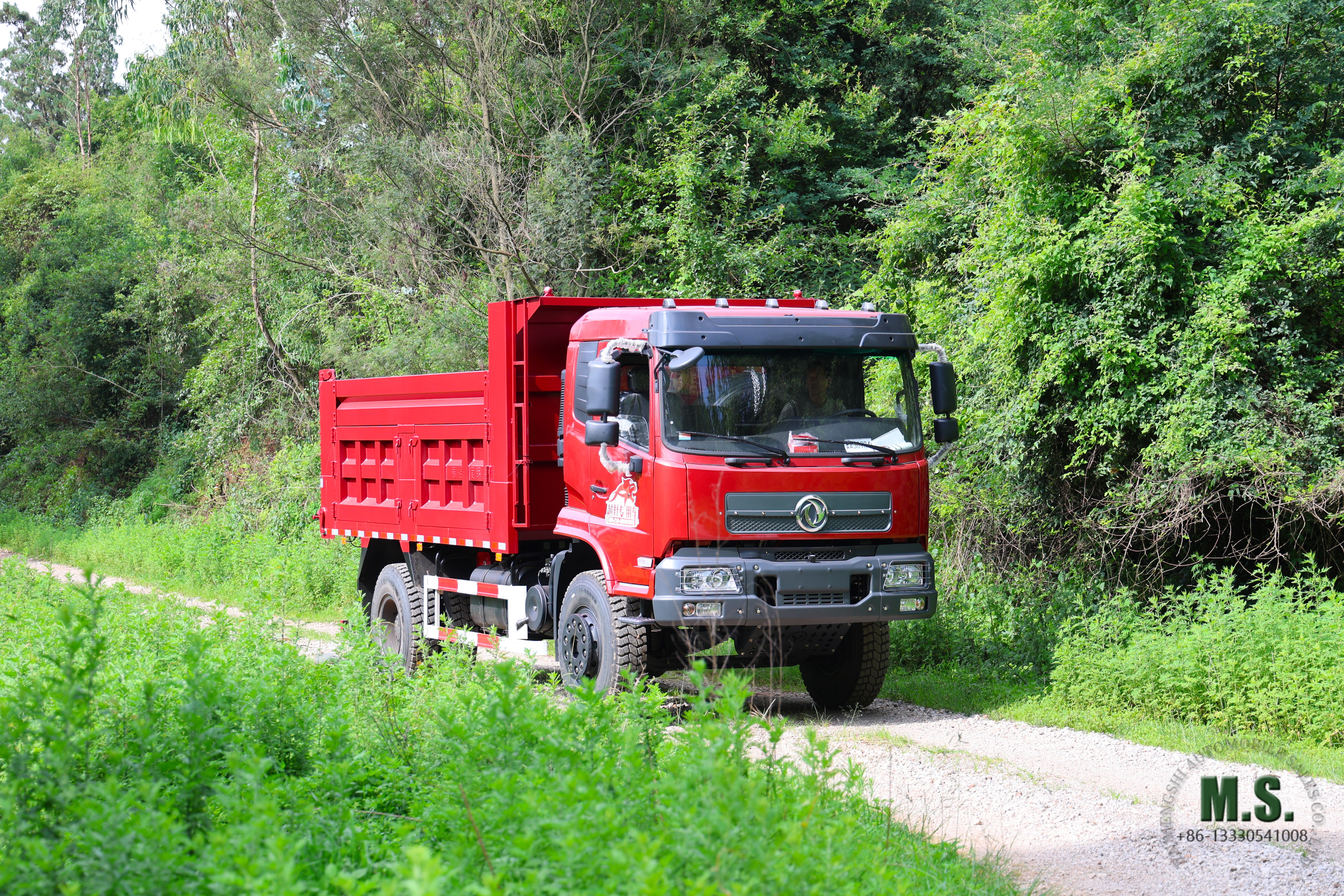 MF7A2206.jpg