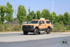 Dongfeng Mengshi MS600 heavy-duty four-wheel drive off-road special vehicle