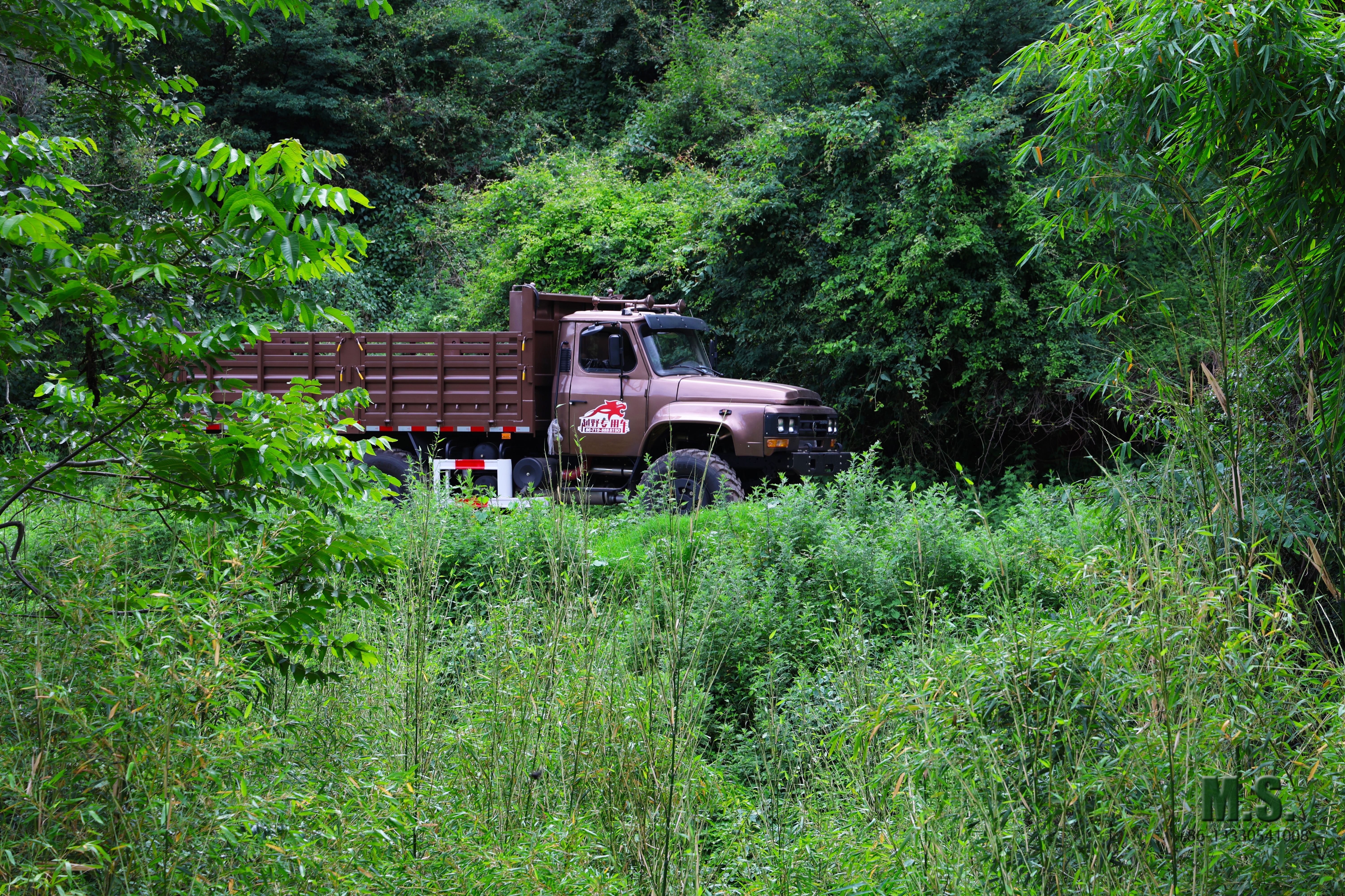 MF7A2425.jpg