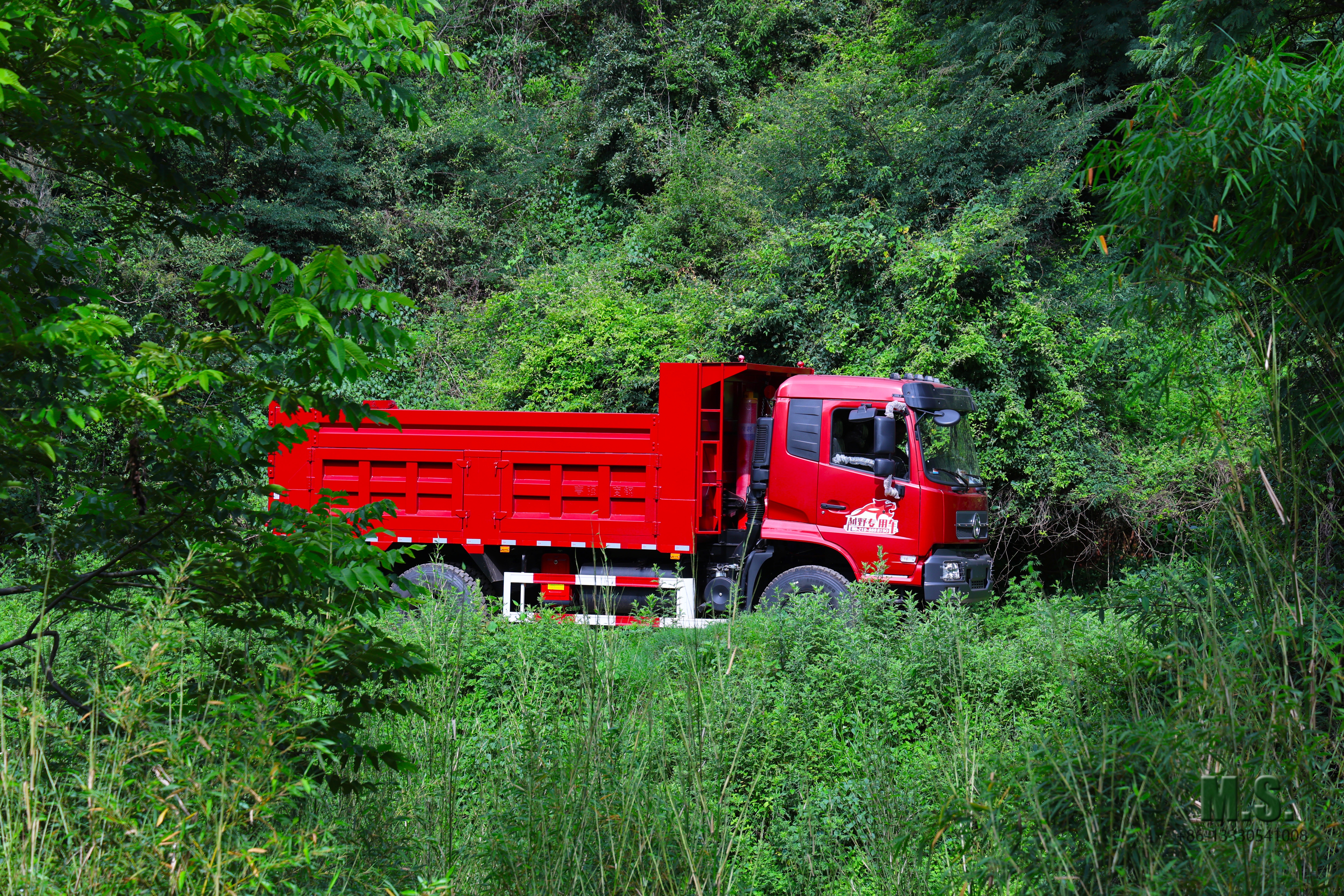 MF7A2208.jpg