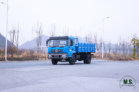 4×2 Heavy-Duty Cargo Truck Complete Technical Configuration & Parameters