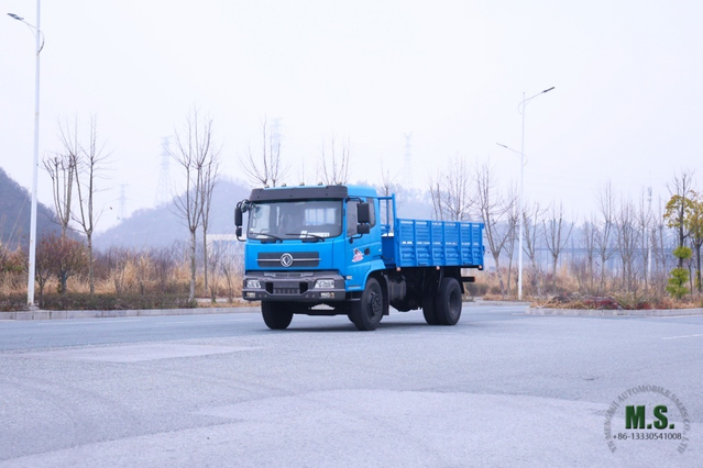 4×2 Heavy-Duty Cargo Truck Complete Technical Configuration & Parameters