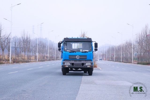 4×2 Heavy-Duty Cargo Truck Complete Technical Configuration & Parameters